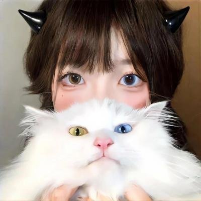 宫本武藏：双剑飞驰之梦
