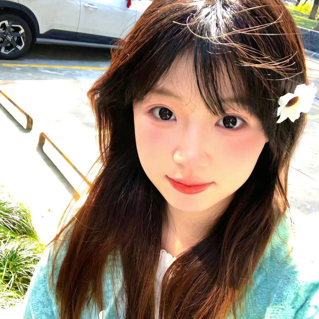 鲨鱼：风暴