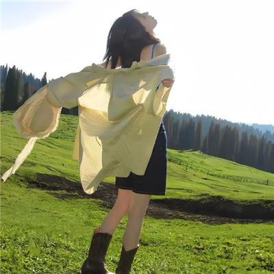 精武风云·陈真