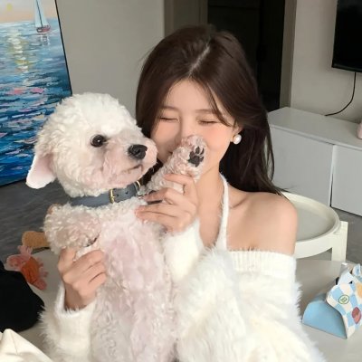 疯狂的旅行箱